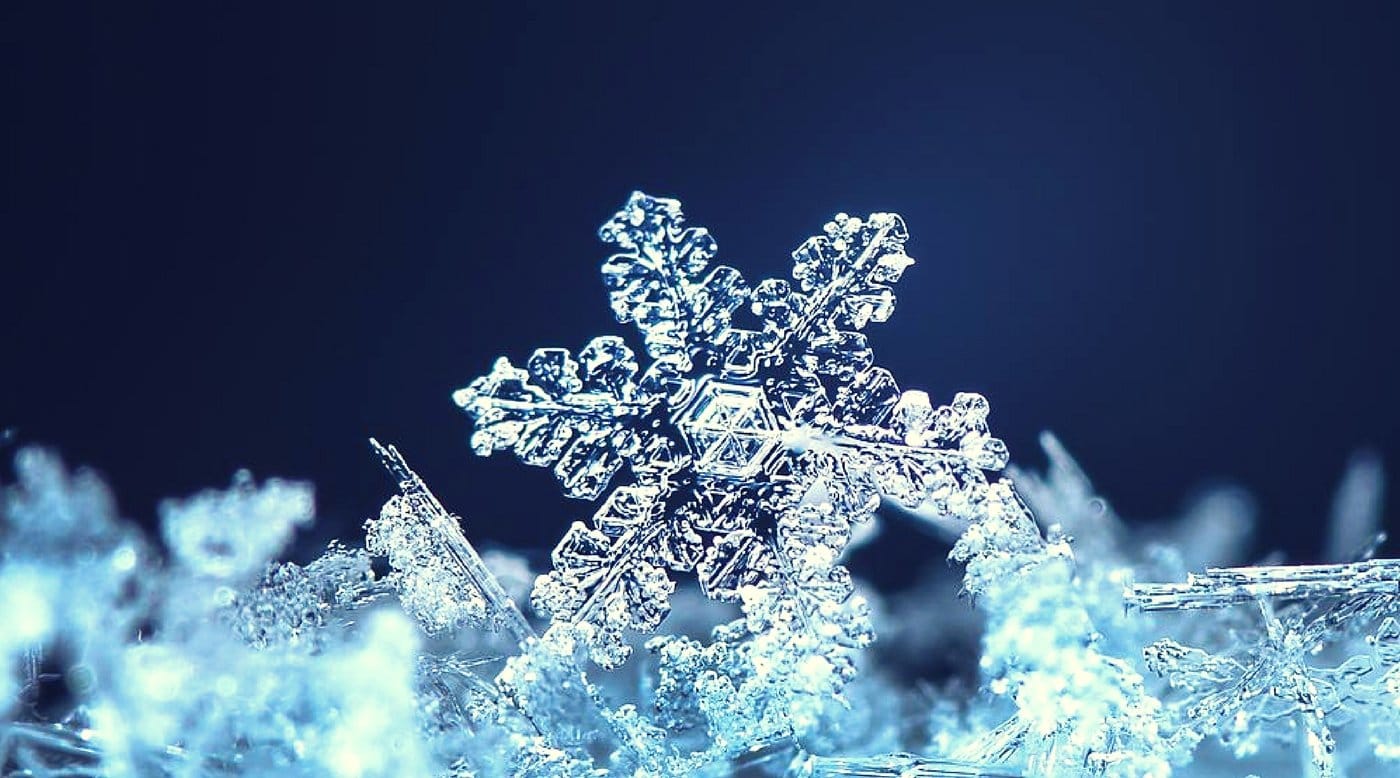 Snowflakes And Christmas - SirHoliday