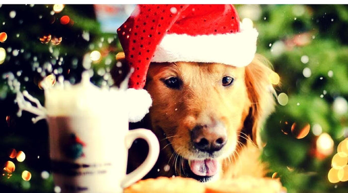 Christmas Goes To The Dogs - SirHoliday
