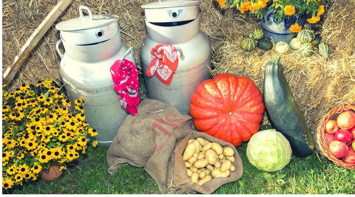 History Behind The Harvest Festival - SirHoliday