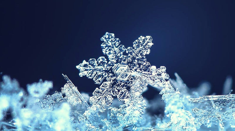 Snowflakes And Christmas - SirHoliday