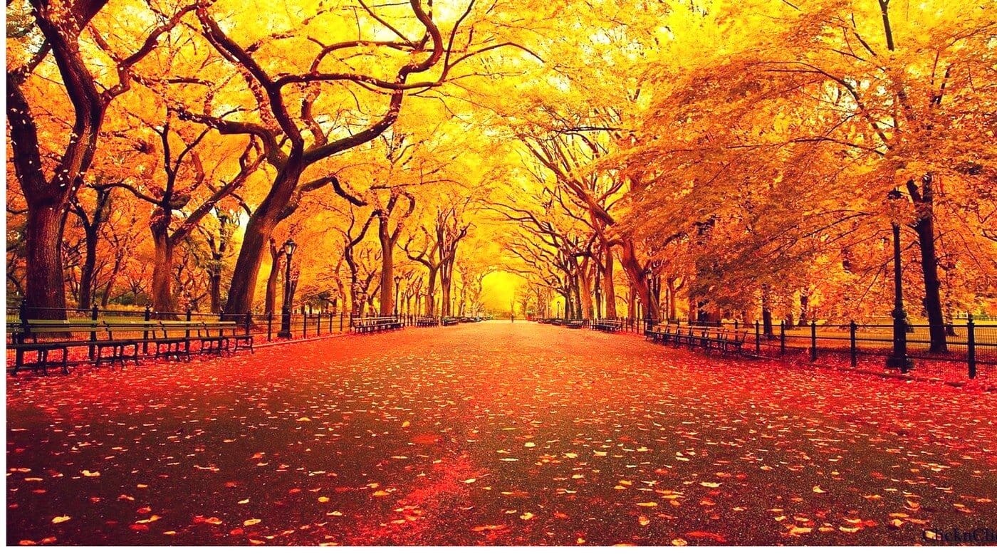 Things To Get You In The Spirit For Fall - SirHoliday