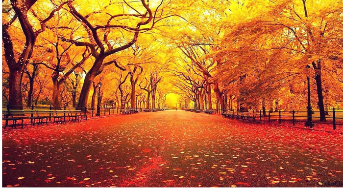 Things To Get You In The Spirit For Fall - SirHoliday