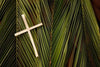 What is Palm Sunday? - SirHoliday