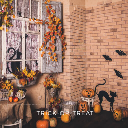 halloween collection