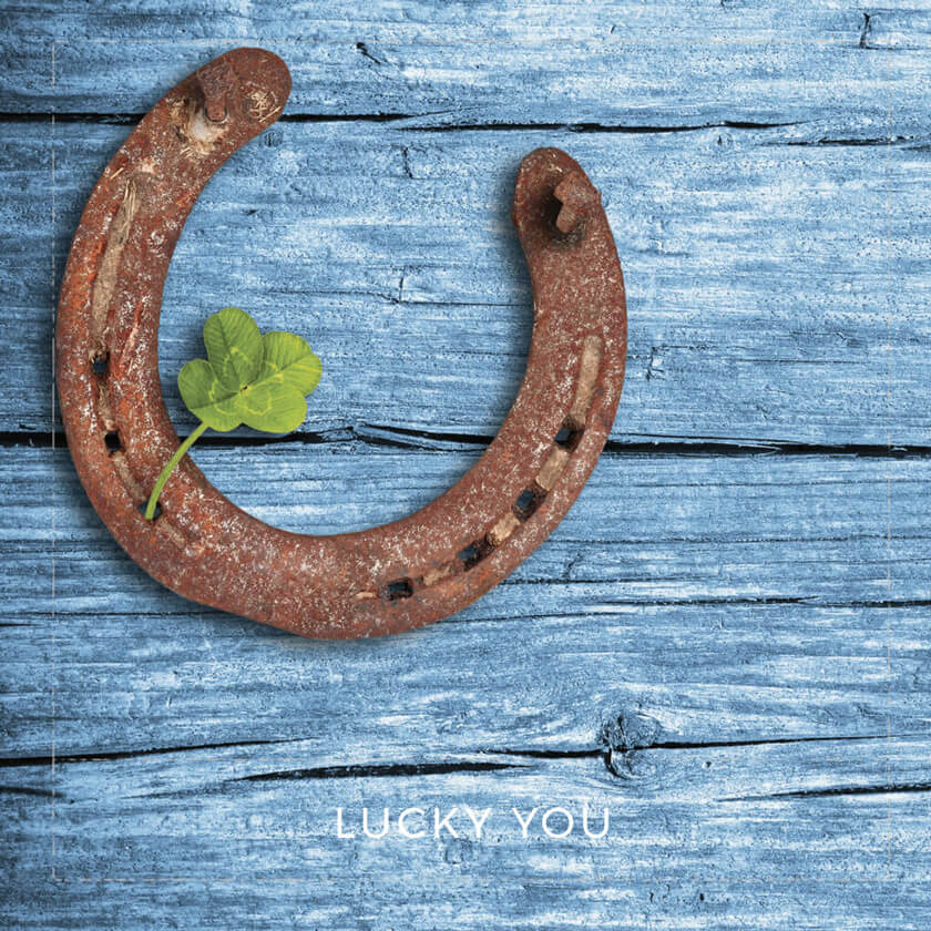 st patricks day collection