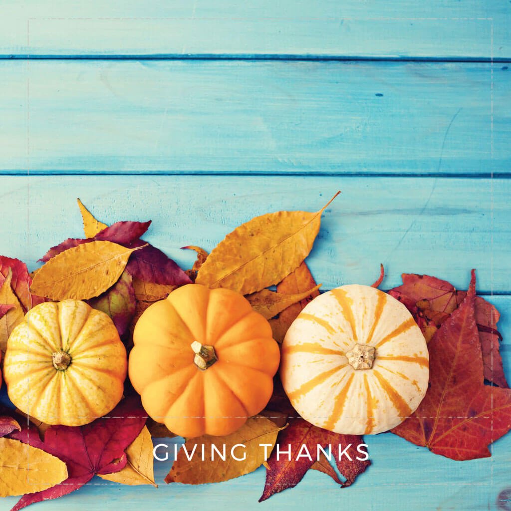 thanksgiving