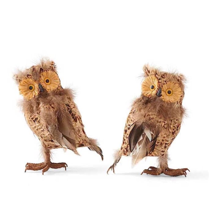 Halloween Brown Feather Owls 9 Inches - Halloween