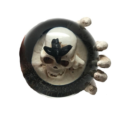 Halloween Skull With Black Crow Water Globe - Halloween